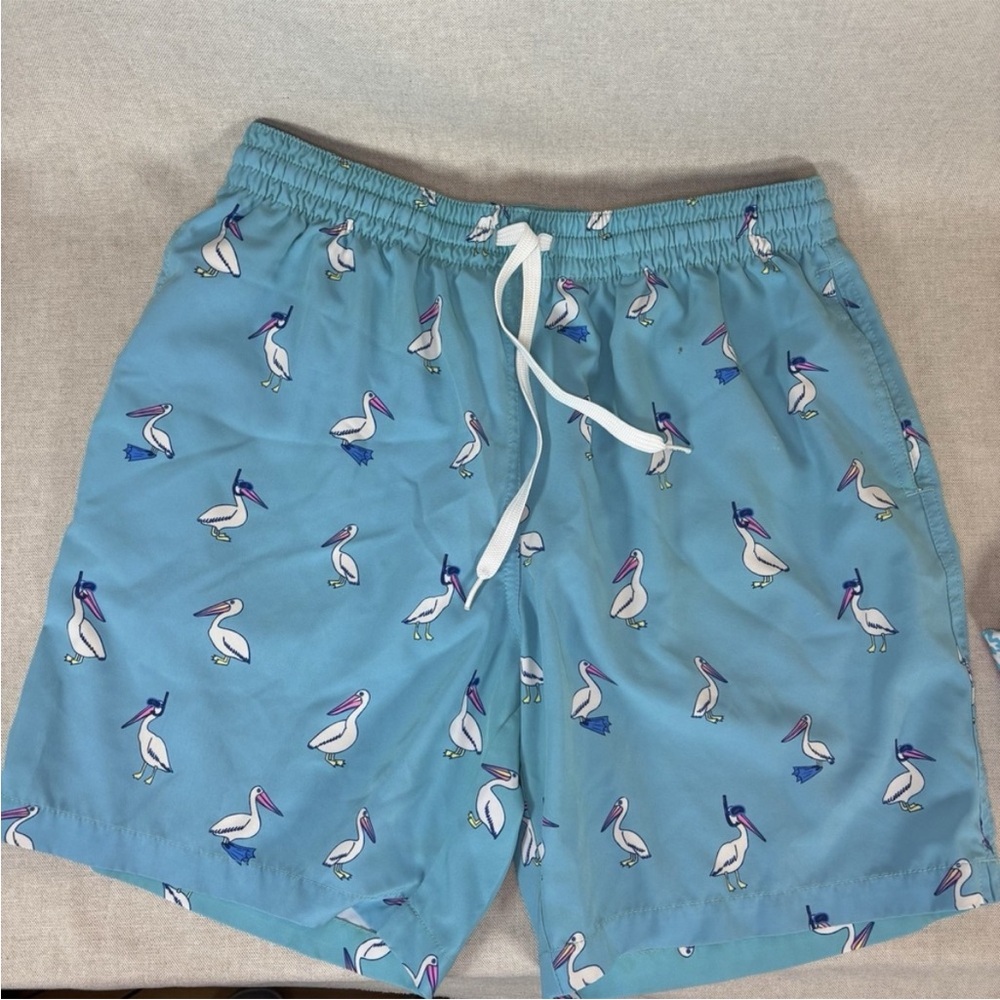 Chubbies Teal Swim Shorts with Pelican Design